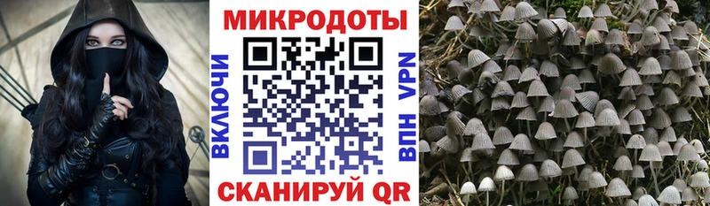как найти наркотики  Никольское  Галлюциногенные грибы мухоморы 
